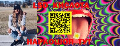 PSILOCYBIN Краснодар