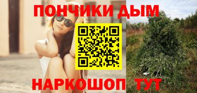 PSILOCYBIN Краснодар